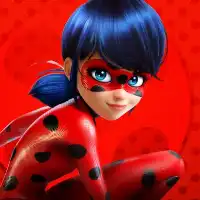 Ladybug